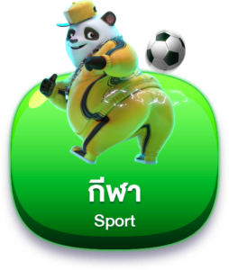 imgsport-image